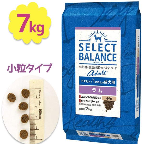 ドッグフード セレクトバランス ラム アダルト 小粒 1才以上 成犬用