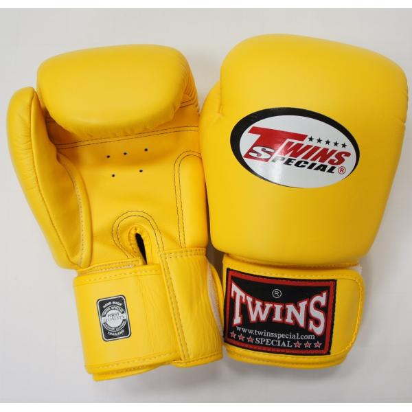 sheepwingten_10000522