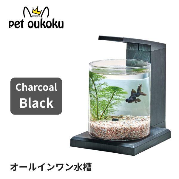 GEX（ジェックス） グラスアクア PERCO C-Charcoal Black