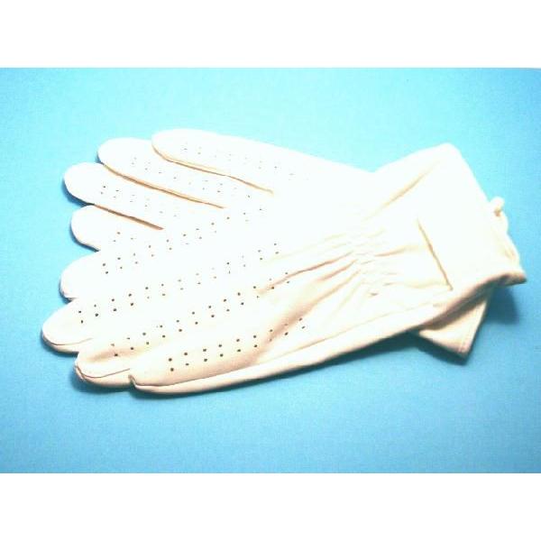 パイロット手袋（天然鹿革） : パイロットハウスエフエス・シーマ