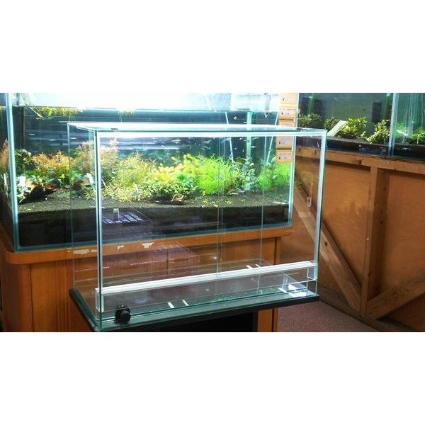 Rain Forest パルダリウムケージpro PCP6045 : RED FAIRY - 通販