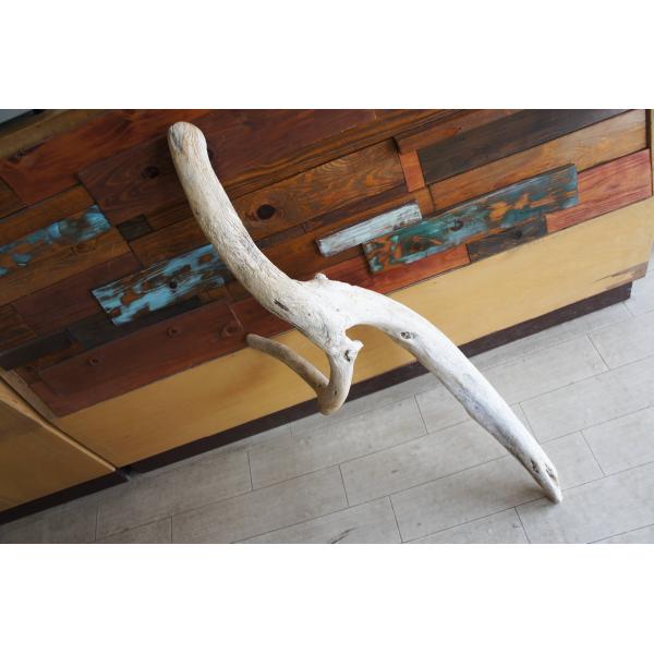 流木 大型サイズ インテリア オブジェ 爬虫類 小動物 登り木