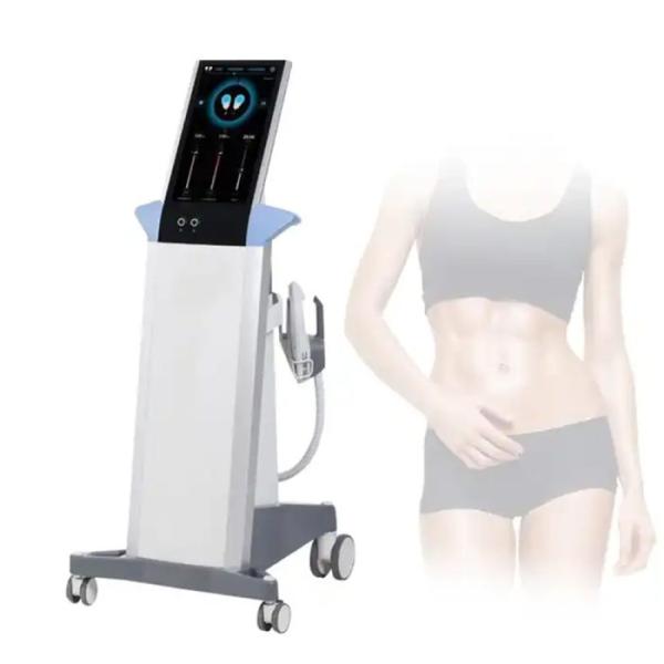 家庭用エムズ痩身機器HIMET 新品 家庭用エムズ痩身機器HIMET 新品