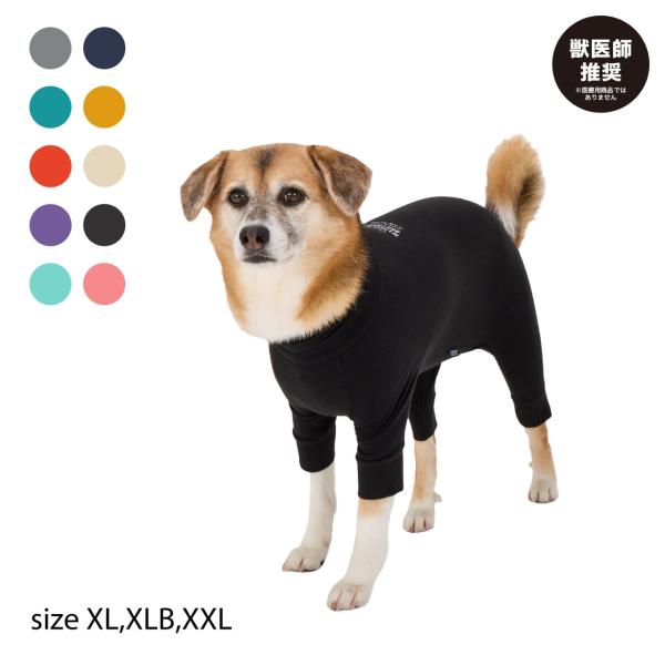 MANDARINE BROTHERS（マンダリンブラザーズ） Mandarine brothers