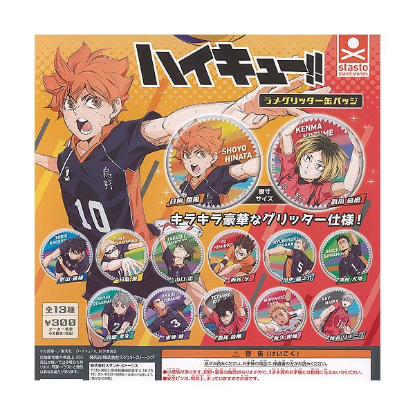 ハイキュー ラメグリッター 缶バッジ 全13種セット スタンドストーンズ