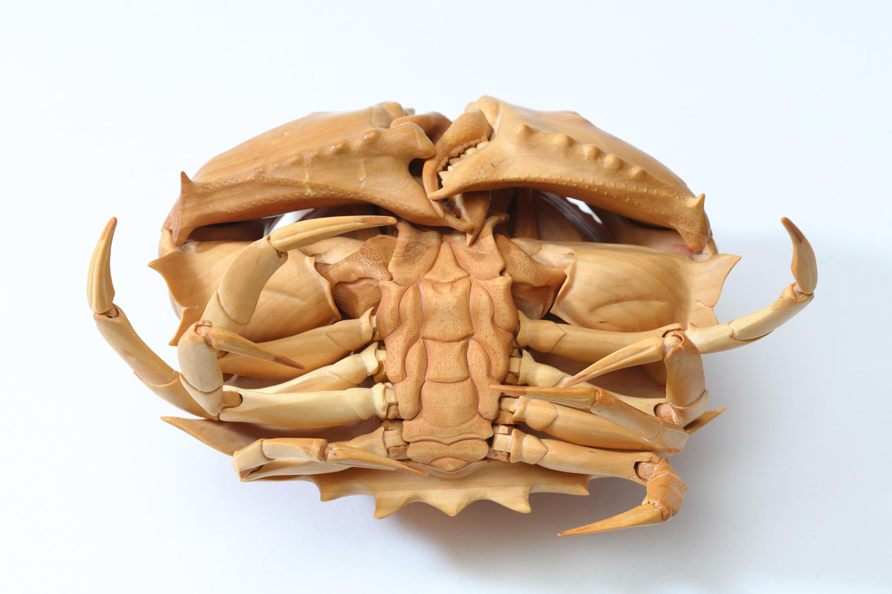 眼鏡饅頭蟹」｜WORKS｜木彫刻家 大竹亮峯｜Wood Sculptor Ryoho Otake