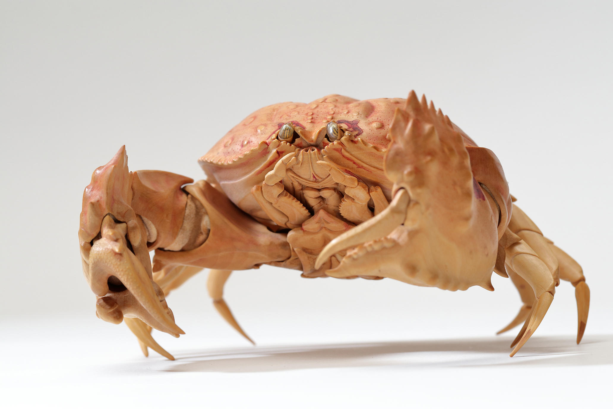 眼鏡饅頭蟹」｜WORKS｜木彫刻家 大竹亮峯｜Wood Sculptor Ryoho Otake