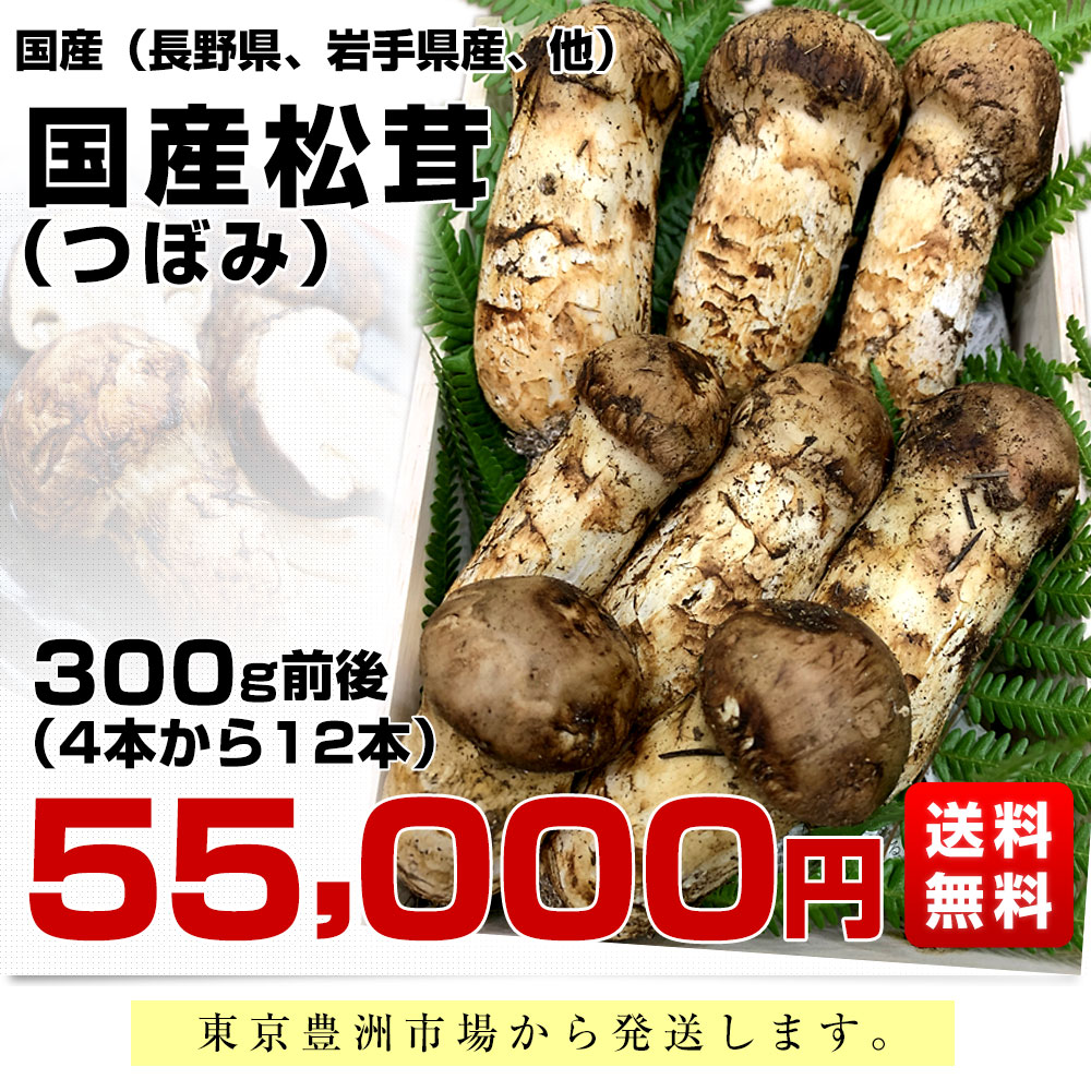 国産松茸（つぼみ）300g前後（4本から12本前後） 送料無料 クール便