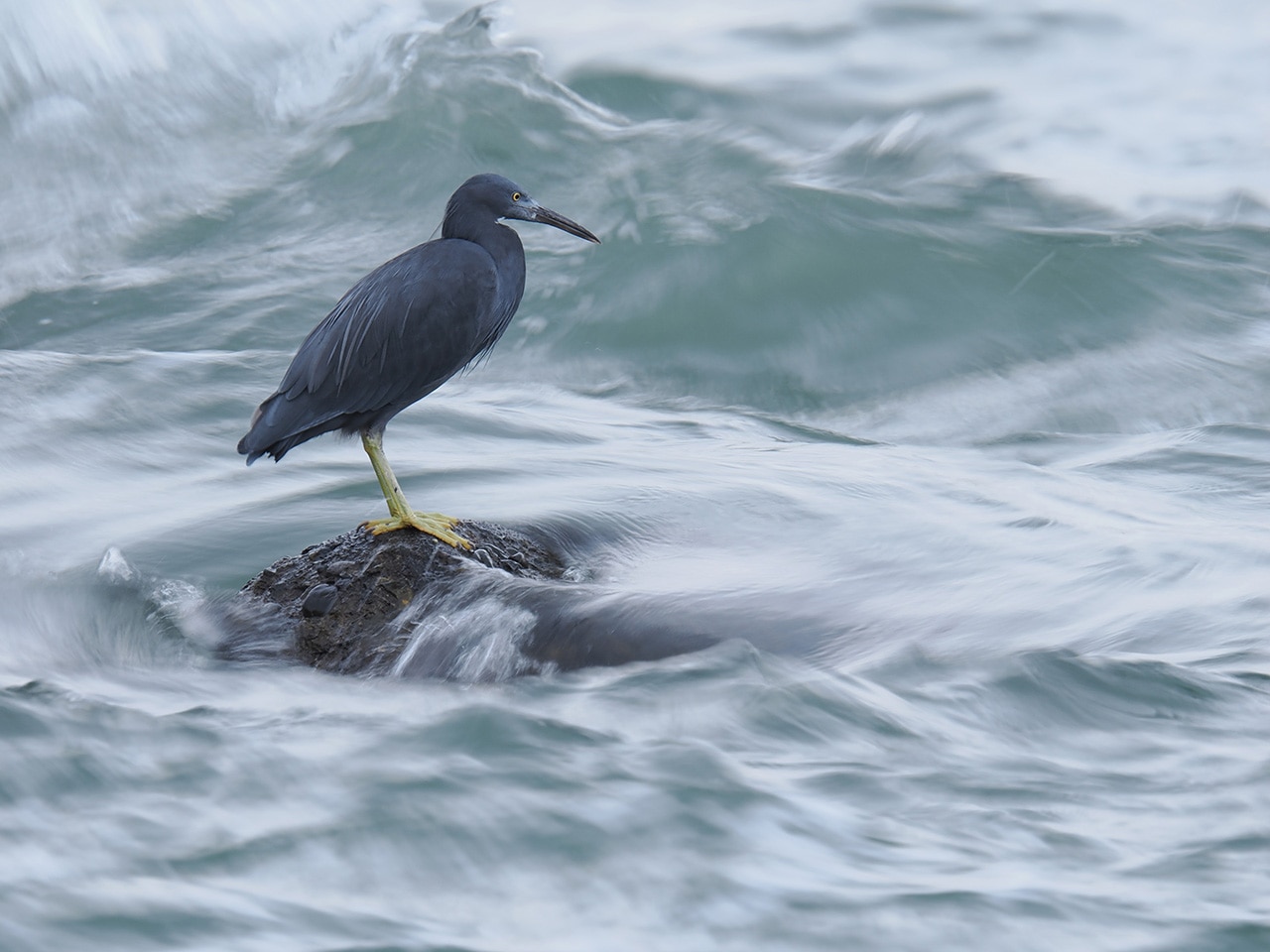 訳ありmark sampson hightop ef86 左上ツマミ効かないです 訳ありmark