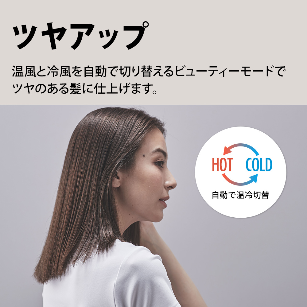 IB-P801 | 美容家電：シャープ