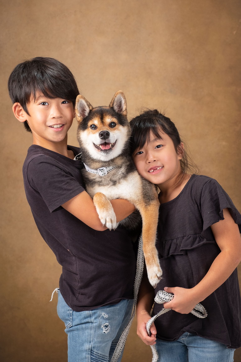 ペットフォト | 各種撮影プラン | 柿の木坂写真工房