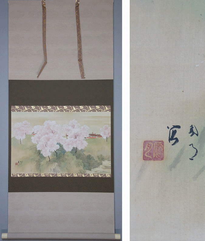 八重桜 掛け軸 掛軸 共箱あり 二重箱 31 八重桜 掛け軸 掛軸 共箱あり 二