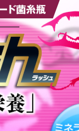 カワラタケ菌糸瓶 カワラの有効なタランドスやオウゴンオニの飼育に