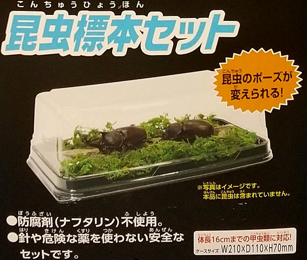 マルカンのはじめての かんたん昆虫標本セット販売-夏休みの自由研究に最適