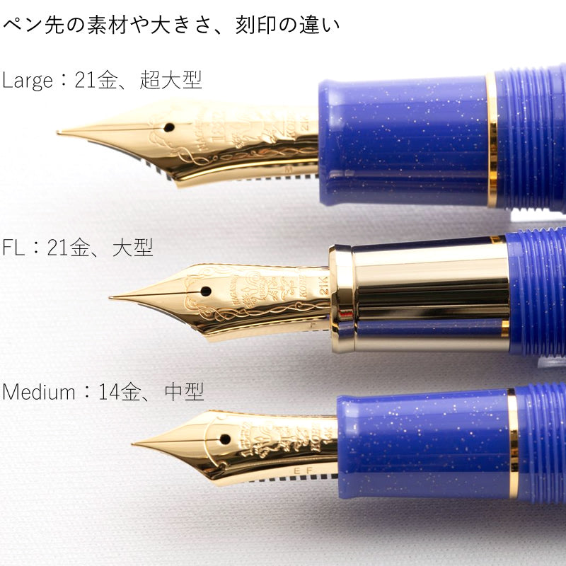 Nagasawa Fountain Pen 
