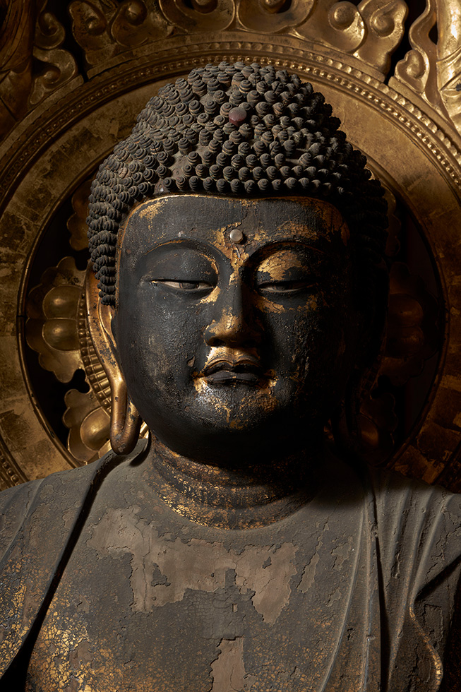 特別展「運慶 祈りの空間―興福寺北円堂」：祈り 未来へ ～興福寺五重塔