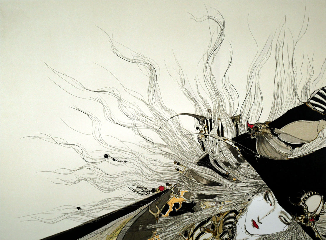 天野喜孝 【葡萄】 リトグラフ 限定200枚 直筆サイン 中古】□ 天野