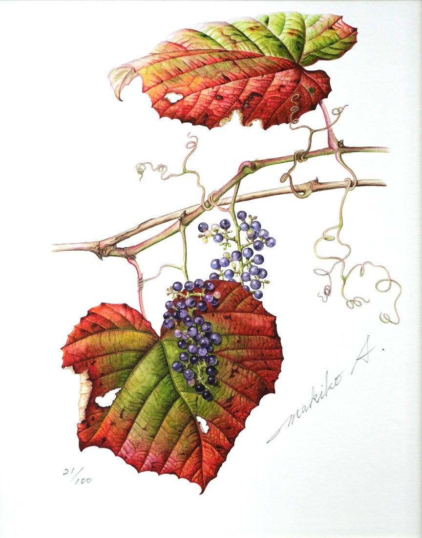 大竹山規「葡萄」SMサイズ 絵画 百貨店購入 大竹山規「葡萄」SMサイズ