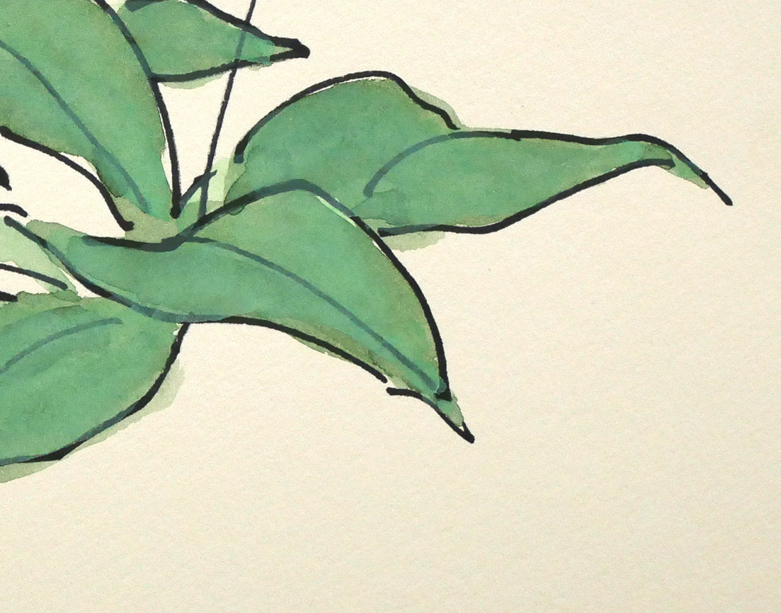 坂本直行「かたくり」水彩画・SM 絵画買取・販売の小竹美術