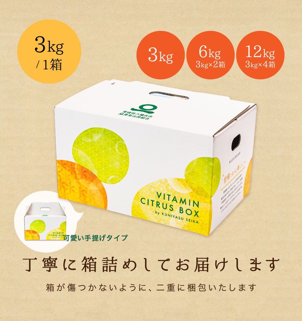 期待の新品種『愛媛プリンセス』を愛媛西宇和地方より産地直送