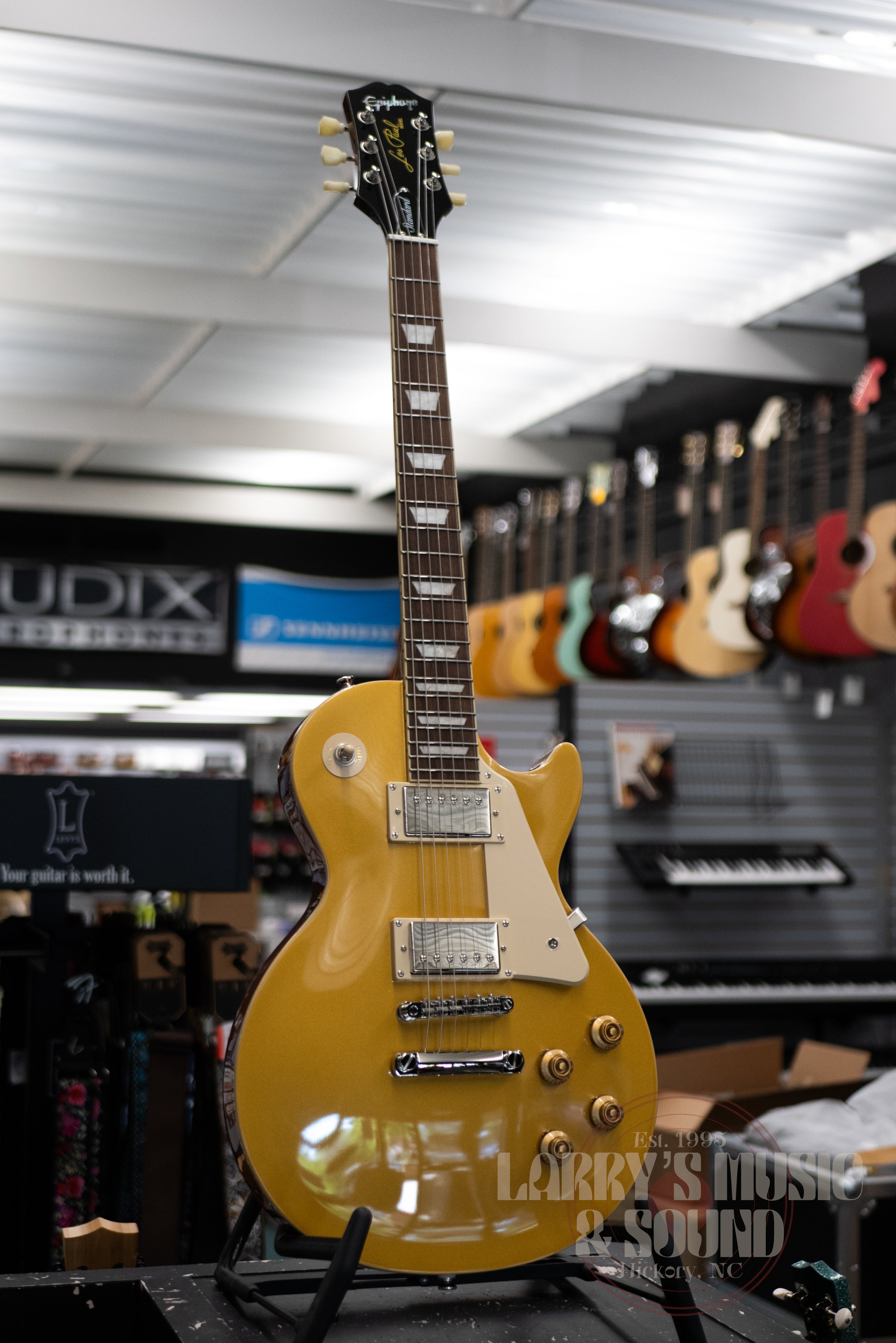 Epiphone Les Paul Standard 50s Plain Top - Gold Top – Larry's