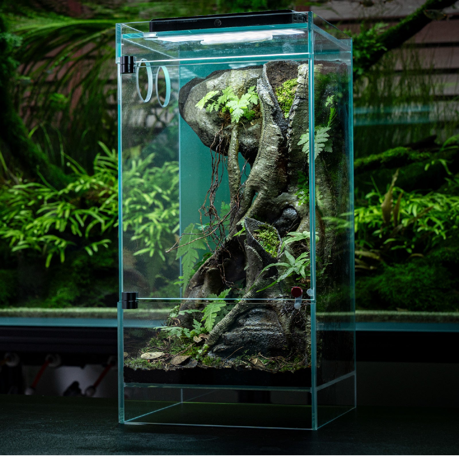 待望の新商品】スマートテラリウム LEDSTAR INFINITY HYLAEA