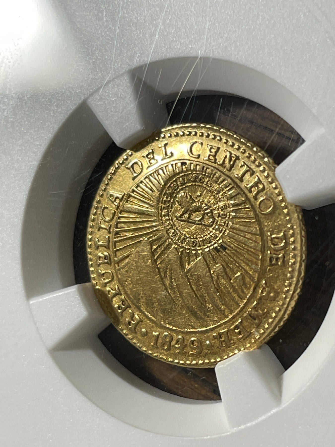 コスタリカ産 チャコールキンイロコガネ 24mm