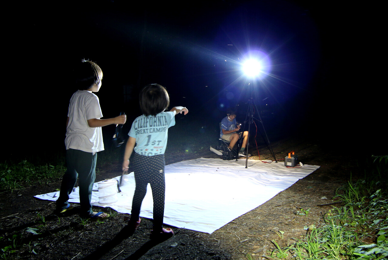 灯火採取 今峰HIDライト☆ ジェロムです☆ backend=imagemagick;version=1;