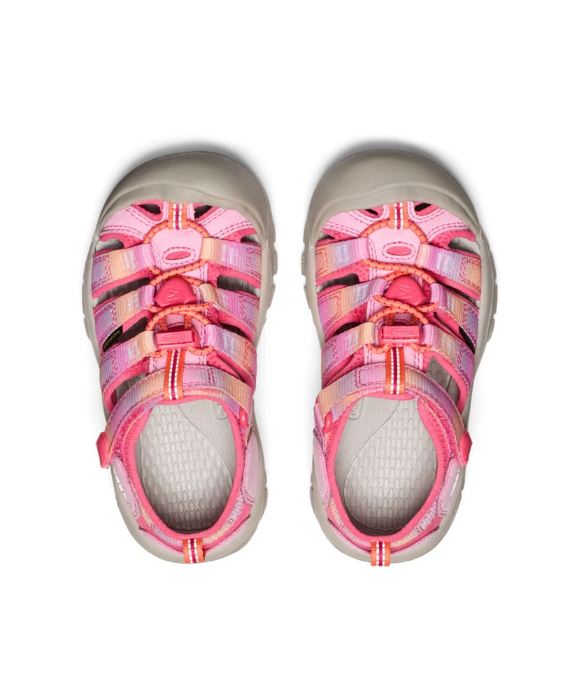 赤色エッチングデザインデカンタ 【公式通販】