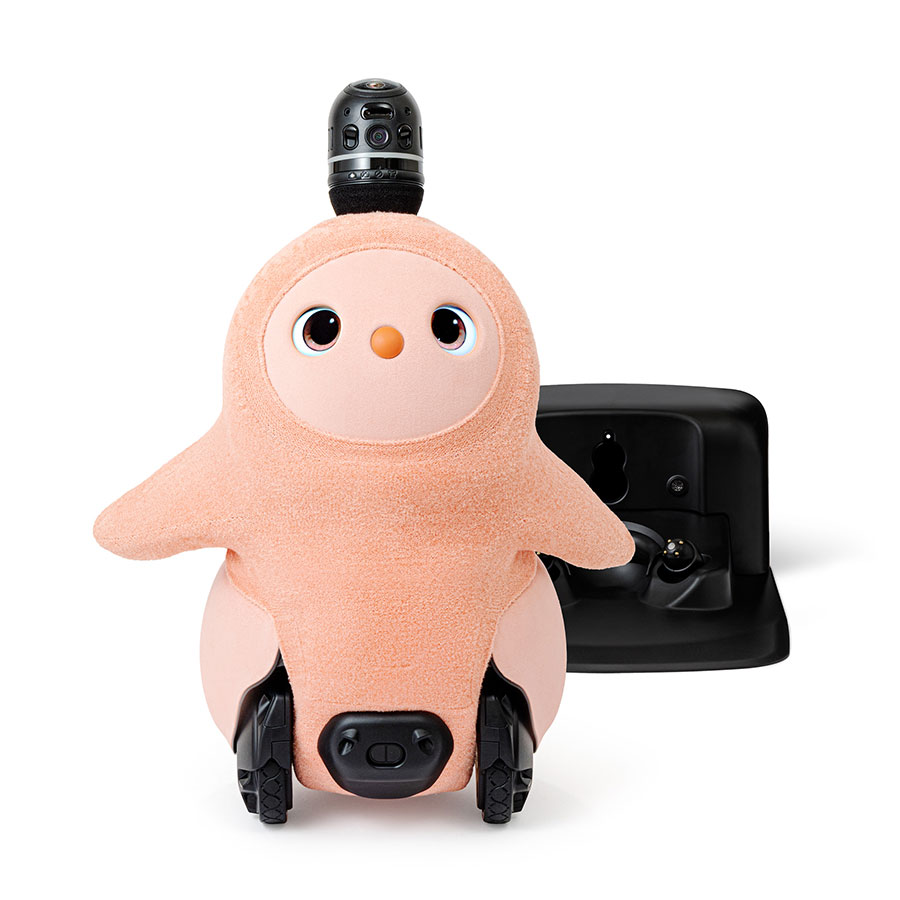 LOVOTラボット2.0本体&ネスト(ちゃ)、2023年12月購入、稼働約7か月