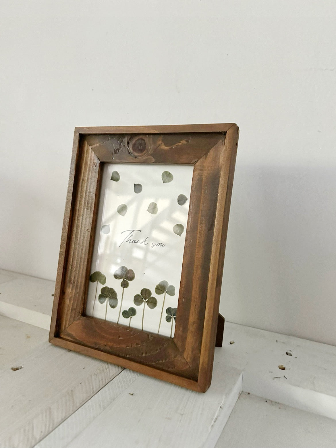 月下美人 押し花 額縁入り 押し花アート 汚れあり 月下美人 押し花