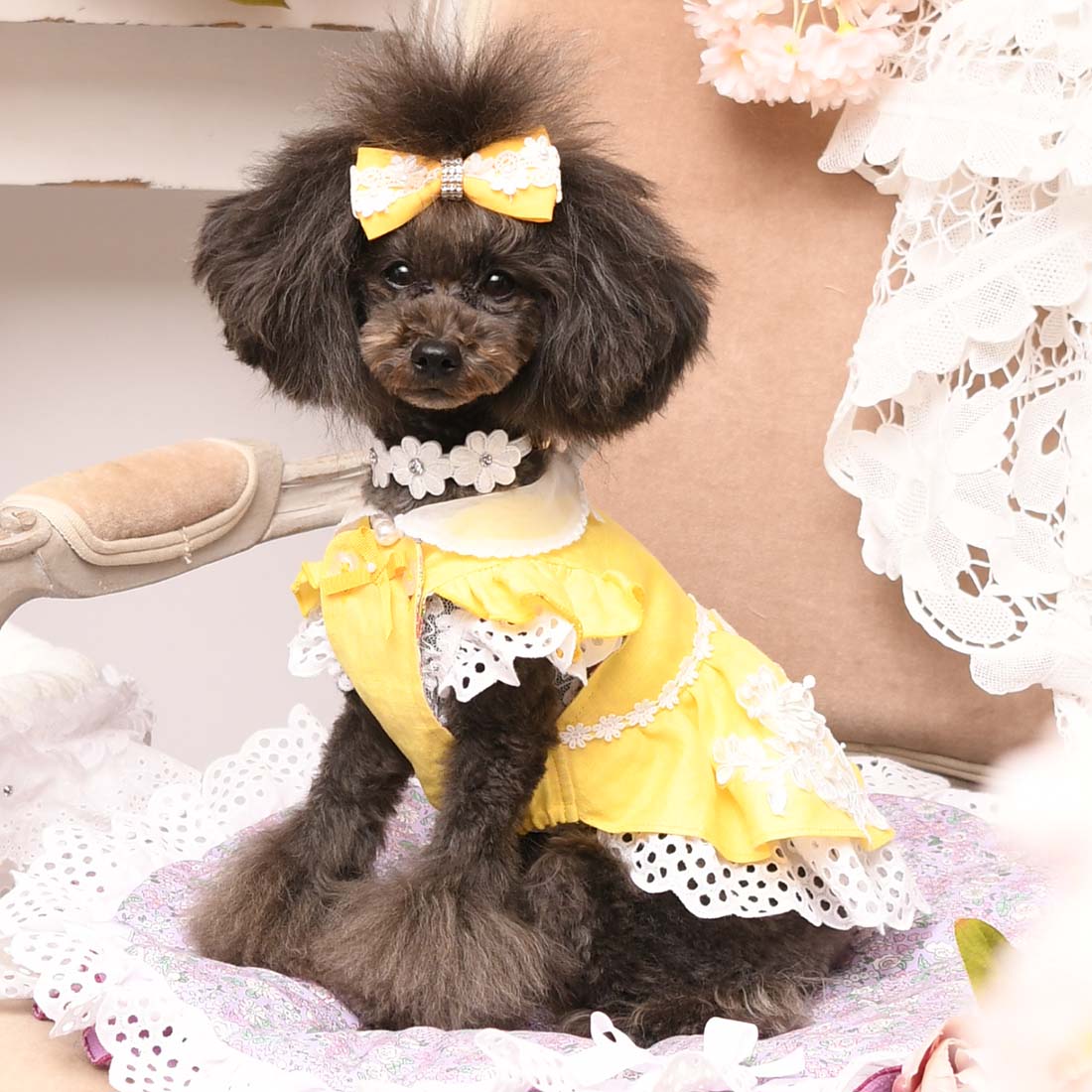 SALE – ページ 2 – Luxebirdie