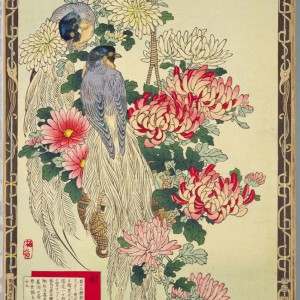 江戸屋版 媒嶺花鳥画譜第1編 27図 手作り古画