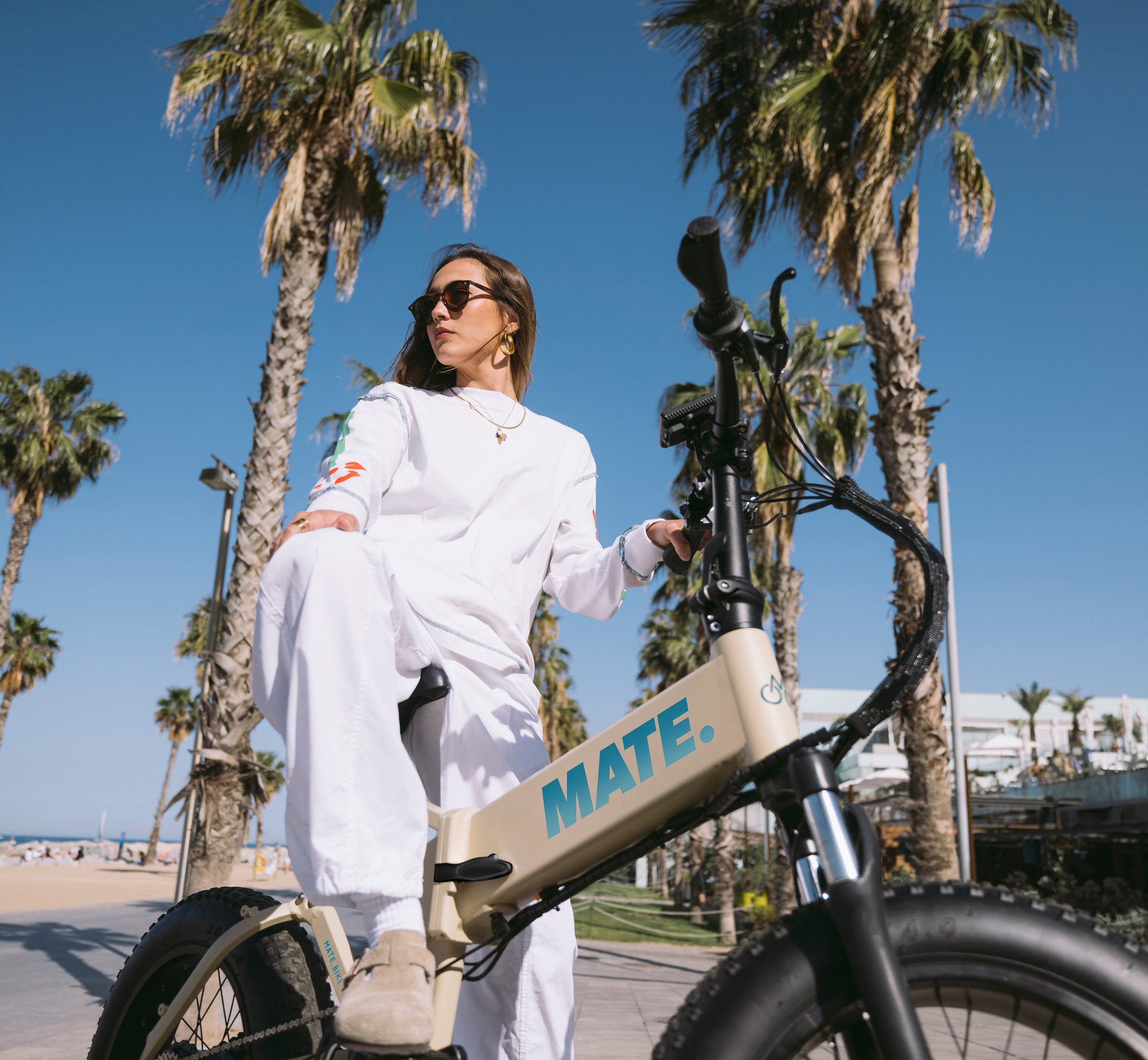 MATE.X Desert Storm 油圧式