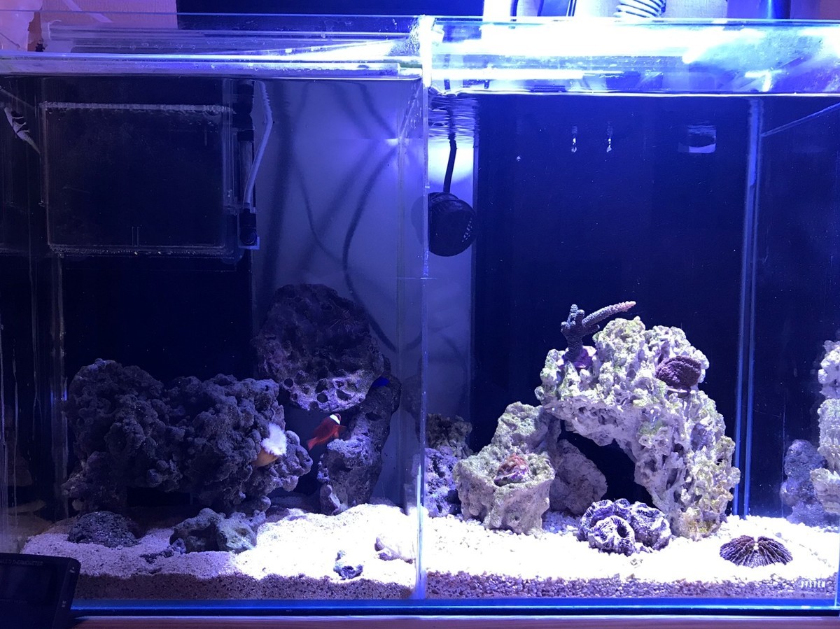 リーフナノ2 zoox リーフナノ2 ZOOX Reef Nano2 LED水槽ライト