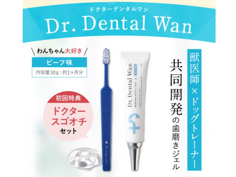 CLEAN WAN 歯磨き ジェル15g×2本セット クリーンワン 歯磨き ジェル 15g×2
