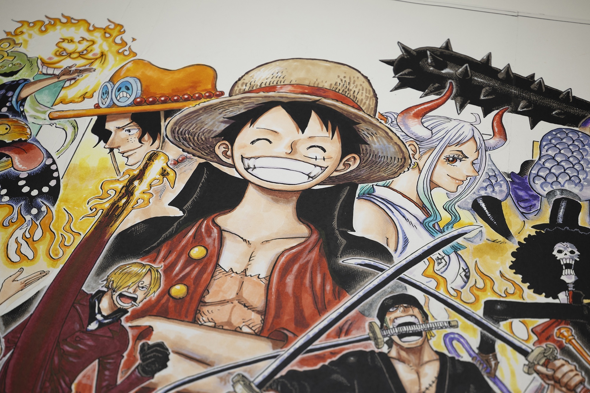 ONEPIECE 尾田栄一郎先生 ルフィ 直筆サイン入り 色紙 Amazon.co.jp