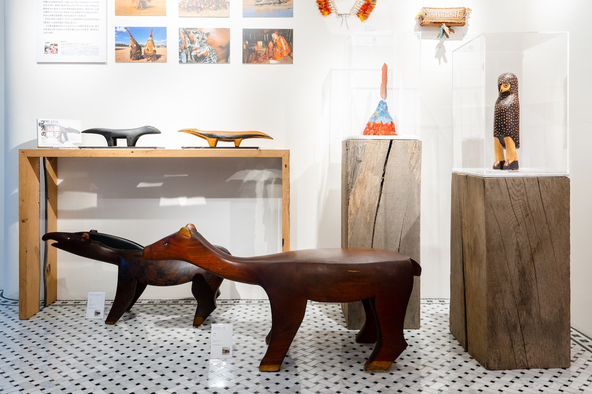 アマゾンに通うこと30年超。南研子が先住民から賜った“深い絆と感謝の