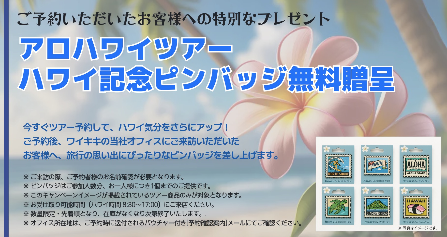 KBOS - 天国の海 サンドバーアドベンチャー (4種類アクティビティ)＋