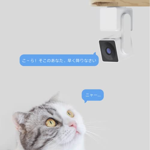 Amazon.co.jp: アトムテック(ATOM tech) ネットワークカメラ ATOM Cam