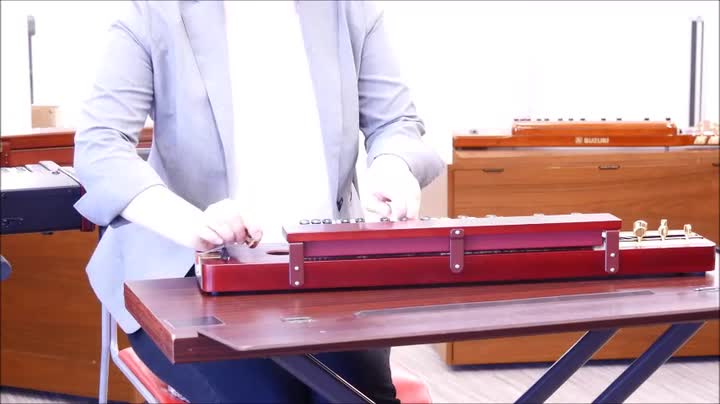 Amazon | SUZUKI スズキ 大正琴 特松 | 大正琴 | 楽器・音響機器