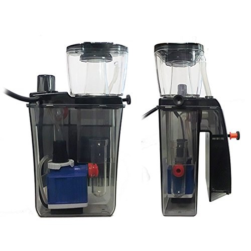 Amazon.co.jp: ゼンスイ エターナルナノスキマー QQ1（キュー