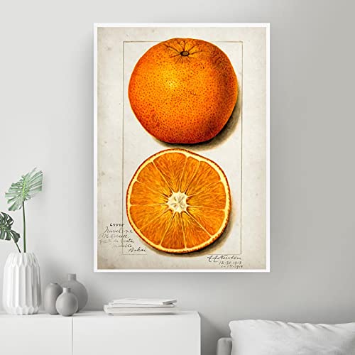 日本画 橙色の果実の屏風 160cm 日本画 橙色の果実の屏風 160cm - メルカリ