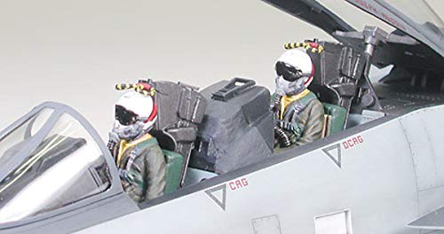Amazon.com: Tamiya F-14A Tomcat Black Knights 1/32 Aircraft