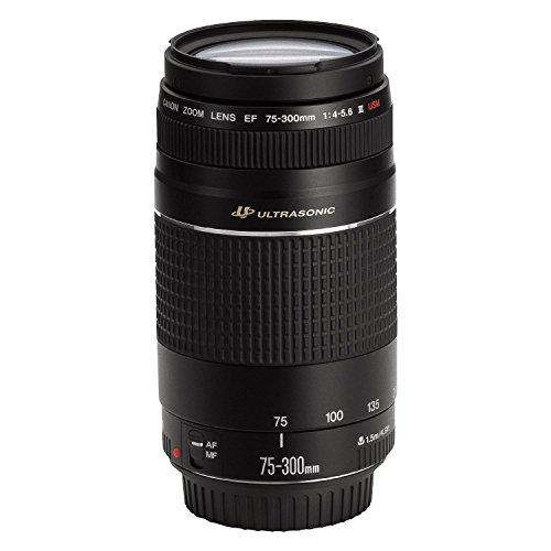 Canon EF 75-300mm f/4-5.6 III USM Telephoto Zoom Lens (6472A002