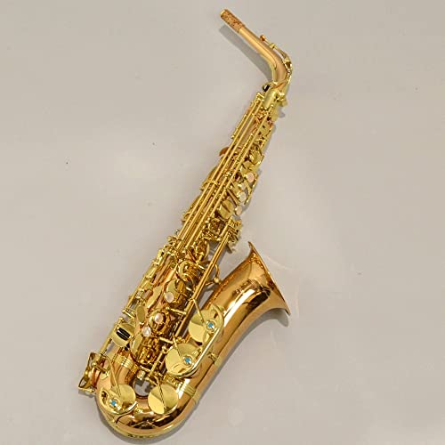 Amazon | YANAGISAWA A-WO2 アルトサックス ブロンズブラス製 ライト
