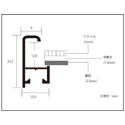 Amazon.co.jp: ポスター ヴィットリオ フィオルッチ 100 Cats and a