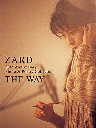 △激レア△ZARD△坂井泉水△ポスター30枚フルセットバッグ付き