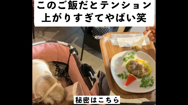 Tetsu】ココグルメ 1箱48個 チキンポーク セット品】【冷凍品】ココ