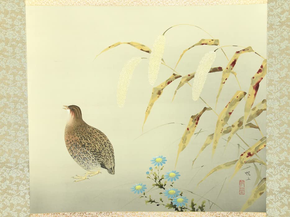 掛け軸 杉浦契雪 『 夜桜 』 絹本 希少 軸装 茶道具 掛軸 美品 です